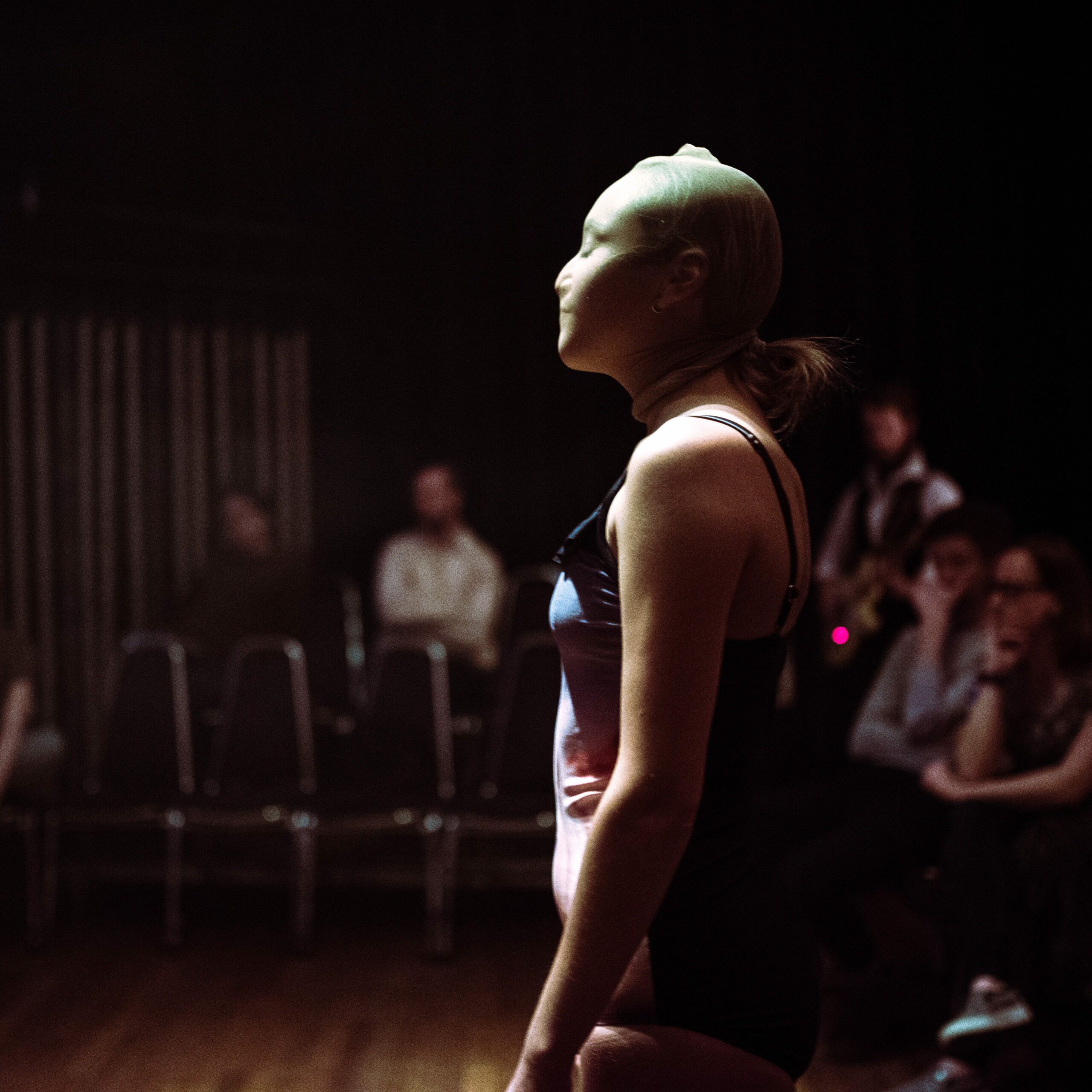 De Elyzeesche Velden